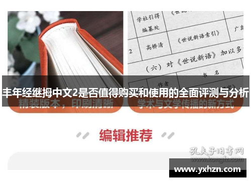 丰年经继拇中文2是否值得购买和使用的全面评测与分析