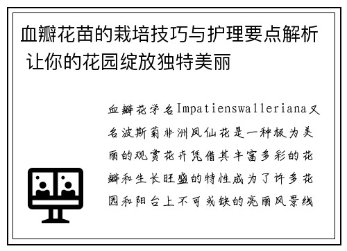 血瓣花苗的栽培技巧与护理要点解析 让你的花园绽放独特美丽