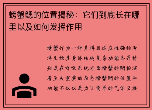 螃蟹鳃的位置揭秘：它们到底长在哪里以及如何发挥作用